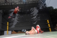 WRESTLING MANIA 